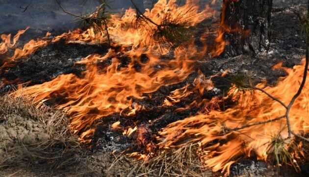 Лісові пожежі на Луганщині наблизились до Сєвєродонецька