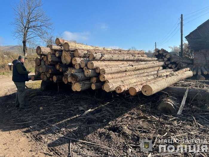 На Закарпатті затримали групу «чорних лісорубів»