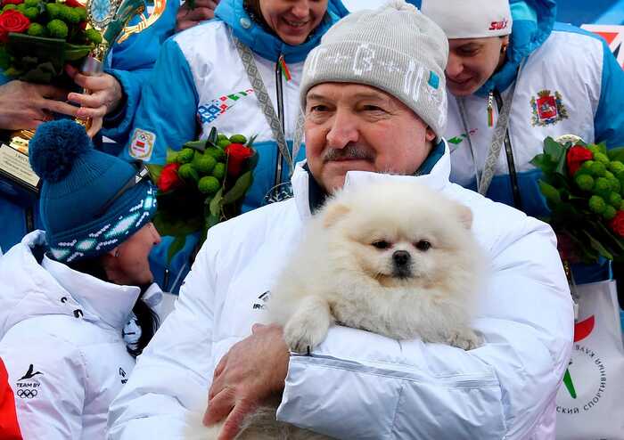 Шпіц Лукашенка "помітив" виборчу дільницю на виборах у Білорусі